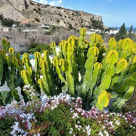 Feriehus Archontiko Stegna